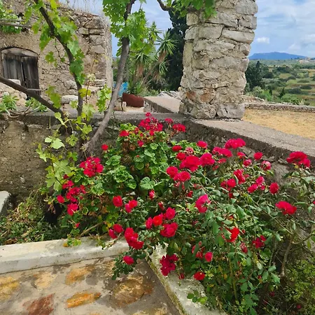 شقة Kamaraki Aroniadika